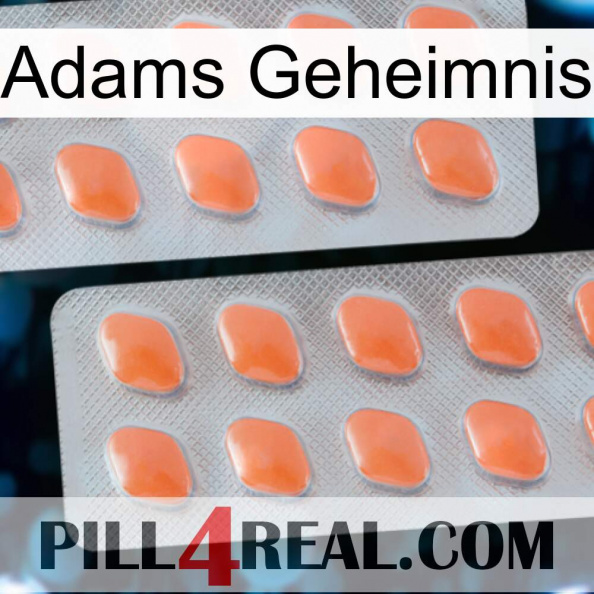 Adams Secret 27.jpg